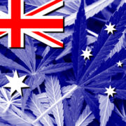 Recreational marijuana use in Australia could be legalised by federal parliament, Greens say