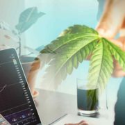 Top Cannabis Stocks For Trading In Q4 2022