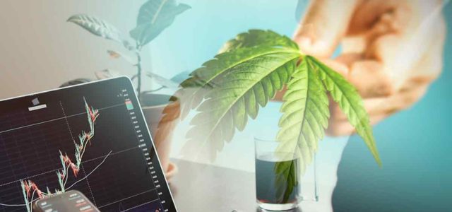 Top Cannabis Stocks For Trading In Q4 2022