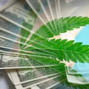 Top Marijuana Penny Stocks Right Now? 3 For Your List In September