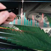 Top Marijuana Penny Stocks To Buy Now? 3 To Watch Under $2