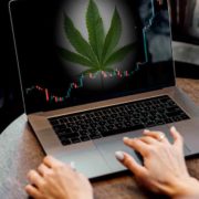 Top Marijuana Stocks For Long Term? 2 With Dividends For Investors