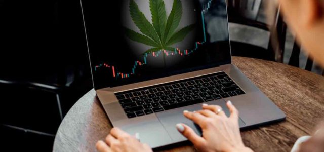 Top Marijuana Stocks For Long Term? 2 With Dividends For Investors