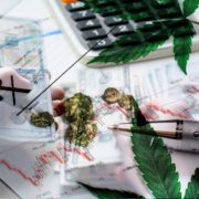 Top Marijuana Stocks To Know About Before Monday