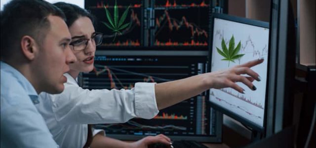 Top Marijuana Stocks Top Watch For A Recovery In September