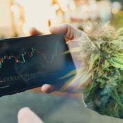 Top Pot Stocks To Buy Now? Best Canadian Cannabis Stocks For October