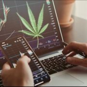 2 Marijuana Stocks To Watch All Of Next Week