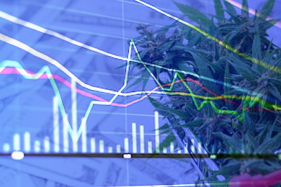 2 Marijuana Stocks To Watch As Momentum Continues To Build