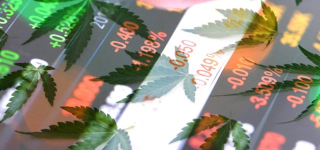 2 Marijuana Stocks to Watch In The Stock Market 2022