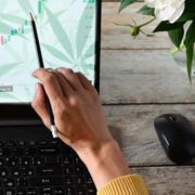 2 Marijuana Tech Stock To Watch Before The End Of The Day