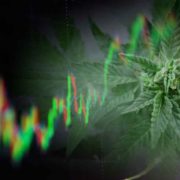 3 Marijuana Stocks For Your Investment Portfolio