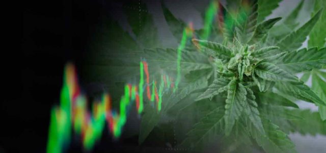 3 Marijuana Stocks For Your Investment Portfolio