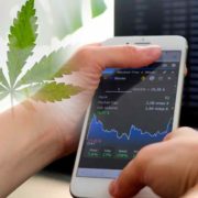 3 Marijuana Stocks To Buy Before Next Year?