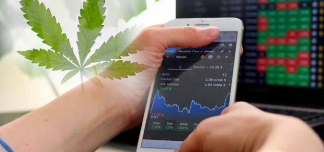 3 Marijuana Stocks To Buy Before Next Year?