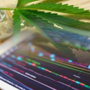 3 Marijuana Stocks To Watch At The End Of October