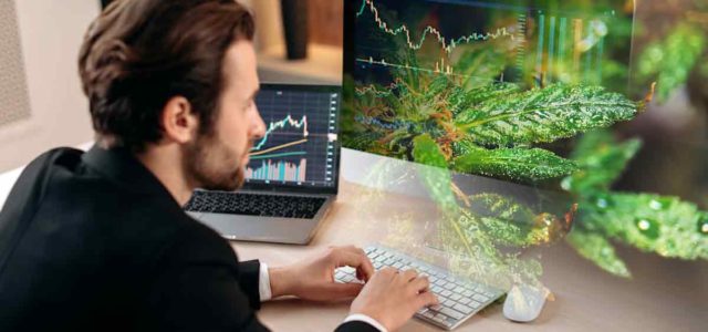 Are Marijuana Stocks A Buy In October? 3 Cannabis Stocks For Your Watchlist Next Week