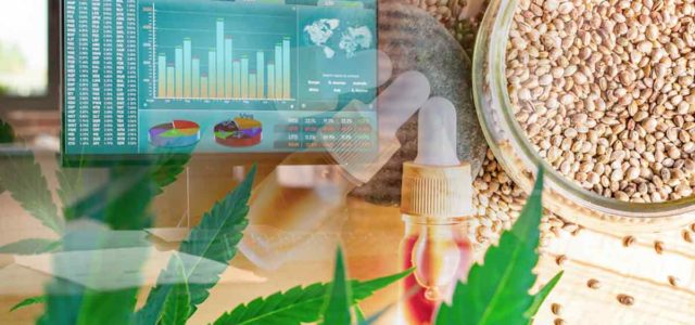 Best Ancillary Marijuana Stocks For November 2022