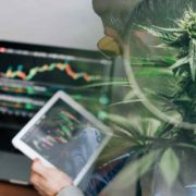 Best Cannabis Stocks Last Week In October? 3 For Watchlist Now