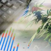 Best Marijuana Penny Stocks In Q4 2022