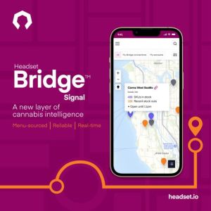 Bridge Plus Announcement Product Launch_Instagram_small