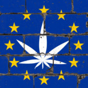 Cannabis and Novel Food Authorizations in the EU: Q&A