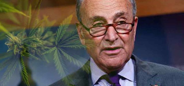 Chuck Schumer Feels Congress Is Close To Passing A Federal Cannabis Reform