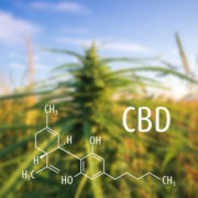 Hemp And CBD To Be Removed From German Narcotics Act Bringing An End To Business Prosecutions