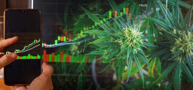 Investing In Marijuana Stocks Right Now? 4 Cannabis ETFs For Long Term