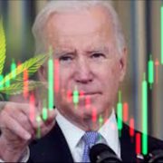 Joe Biden Will Soon Pardon Federal Offenders For Simple Marijuana Crimes