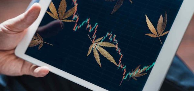 Looking For The Best Marijuana Stocks To Buy? 2 Penny Pot Stocks Under $1