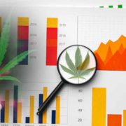 Marijuana Stocks To Watch Before November? 3 Ancillary Companies For Your List