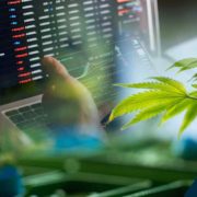These 3 Marijuana Stocks Could Be Top Gainers This Month