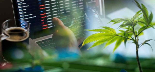 These 3 Marijuana Stocks Could Be Top Gainers This Month