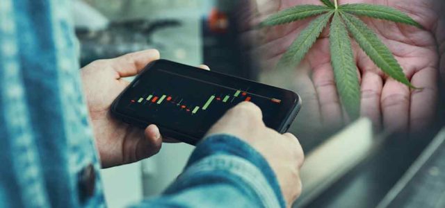 Top Cannabis Stocks For Day Traders And Swing Traders