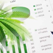 Top Cannabis Stocks For Long Term Investments In November 2022
