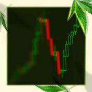 Top Marijuana Stocks For Long Term Watchlist In Q4 2022