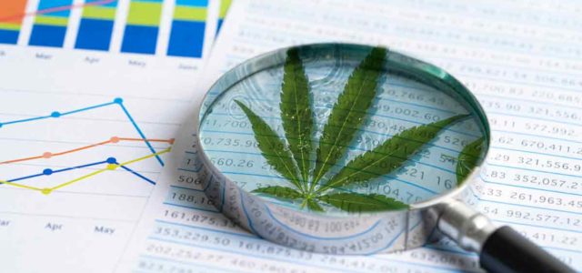 Top Marijuana Stocks To Buy Now? 3 For November 2022