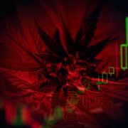 Top Marijuana Stocks To Learn About Over The Weekend