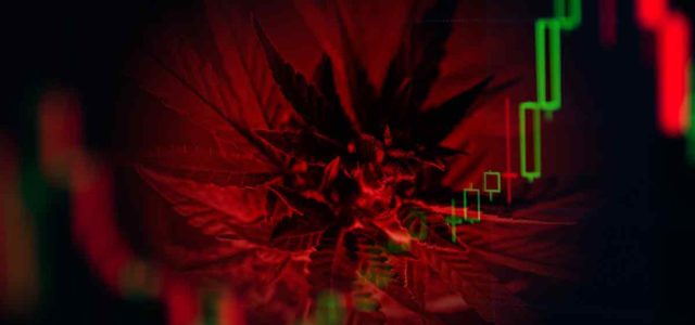 Top Marijuana Stocks To Learn About Over The Weekend