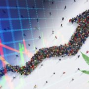 Top Marijuana Stocks To Watch Heading Into A New Month