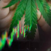 Top US Marijuana Stocks With New Lows In October 2022