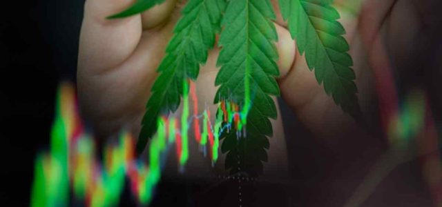 Top US Marijuana Stocks With New Lows In October 2022