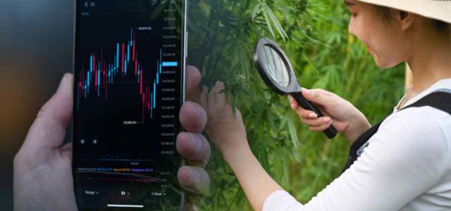 Will Marijuana Stocks Continue To Rise On Speculation?