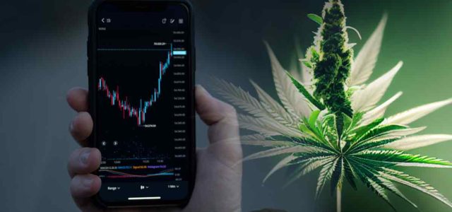 Will These Marijuana Stocks Be Top Gainers In November?