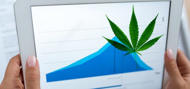 2 Marijuana Stocks To Buy Right Now Before 2023?
