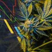 3 Marijuana Stocks That Could See Big Momentum