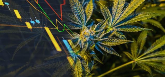 3 Marijuana Stocks That Could See Big Momentum