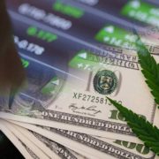 3 Marijuana Stocks To Know About In 2023