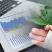 Are Cannabis Stocks A Buy Right Now?2 For Your List This Month