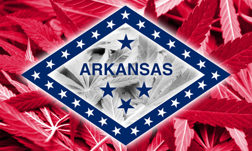 Arkansas voters reject recreational marijuana amendment